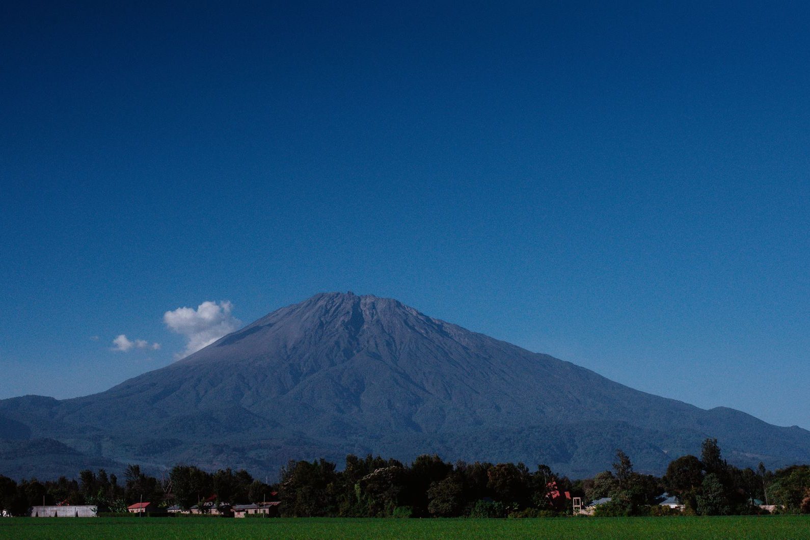 Mount Meru rising above green fields and trees near Arusha