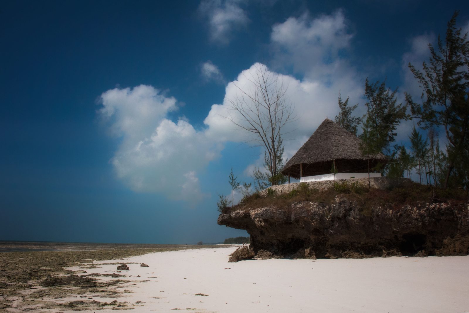 A quiet stretch of Zanzibar beach below a thatched makuti shelter